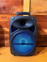 GTS 2385 Portable Rechargeable 8 inch Wireless Speaker With 2 Wireless Microphone Karaoke - Image 4